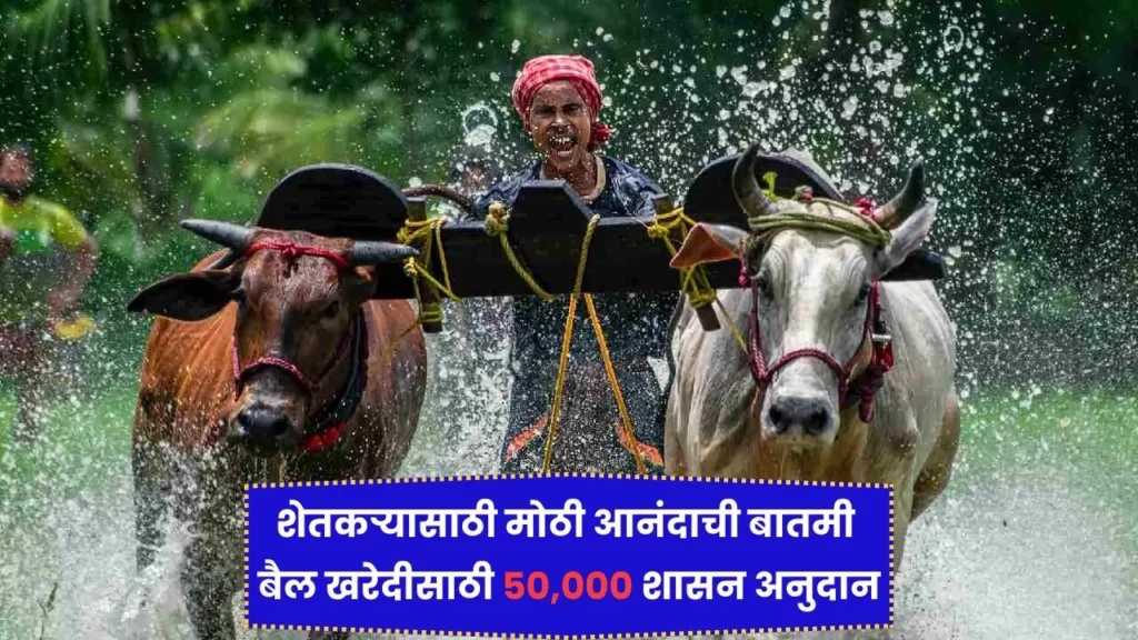शेतकऱ्यासाठी मोठी आनंदाची बातमी बैल खरेदीसाठी 50,000 शासन अनुदान! Bail Jodi Anudan Yojana