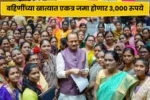 लाडक्या बहिणींच्या खात्यात एकत्र जमा होणार 3,000 रुपये! Ladki Bahin Yojana