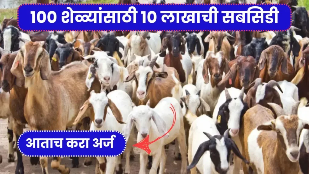 बापरे! आली आता फायद्याची योजना 100 शेळ्यांसाठी 10 लाखाची सबसिडी आताच करा अर्ज! Sheli Palan Yojana